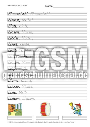 DSS_2S_Bu_bl_Nr_02.pdf